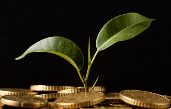 estate investment